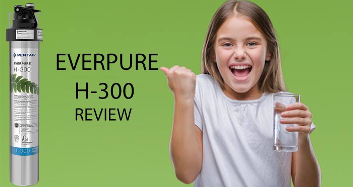Everpure H300 Reviews in 2020