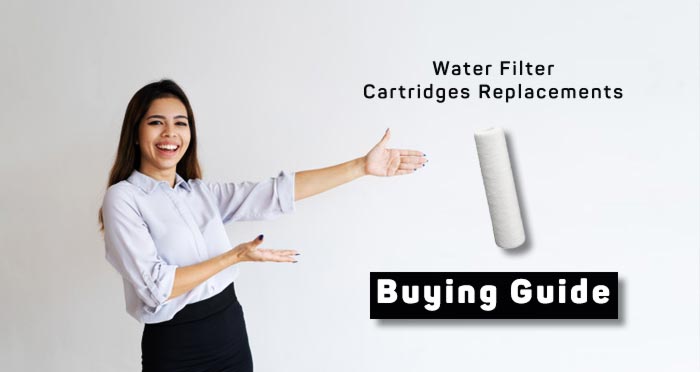 whole-house-water-filter-cartridges-buying-guide