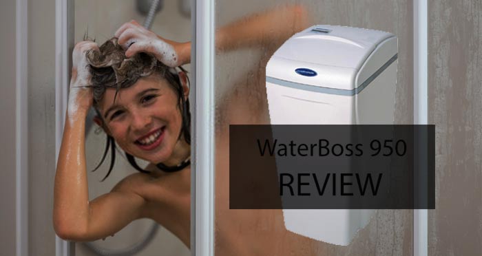 WaterBoss 950 Reviews in 2020