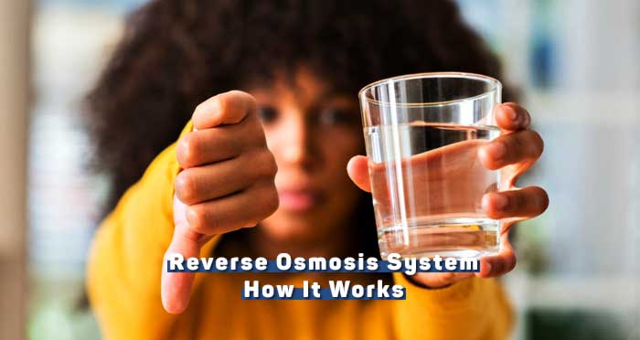A Reverse Osmosis (RO) System Work