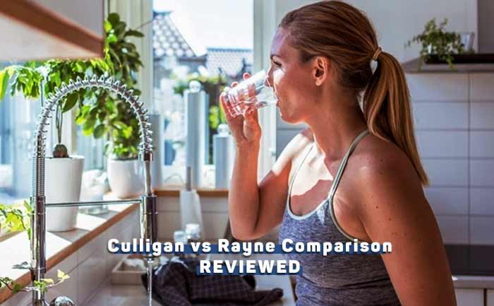 culligan-vs-rayne