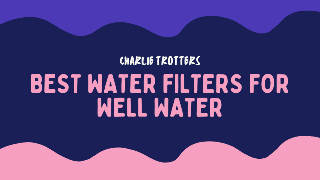 Best Water Filters for Well Water