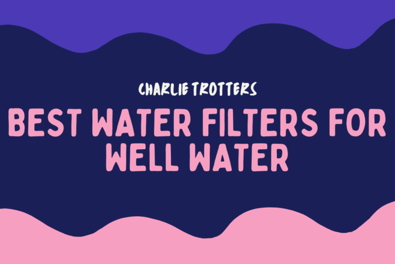 Best Water Filters for Well Water