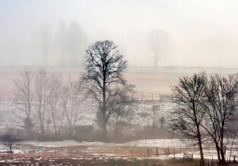 Does a Water Softener Help with Dry Skin? (Water Softener Importance