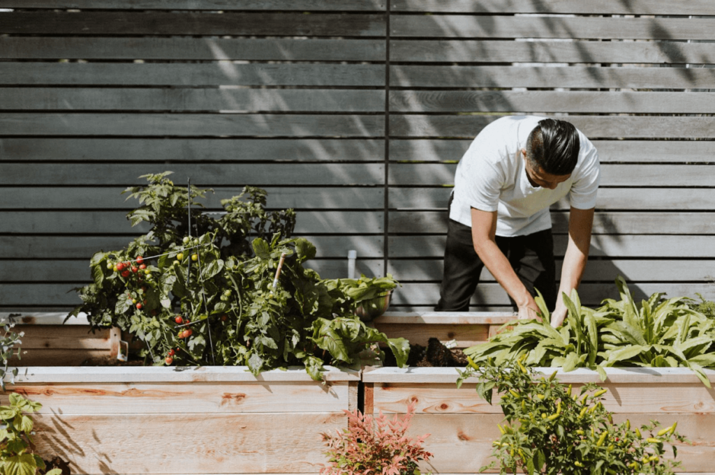 gardener